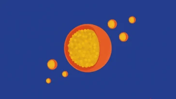 Λιποπρωτεΐνη α