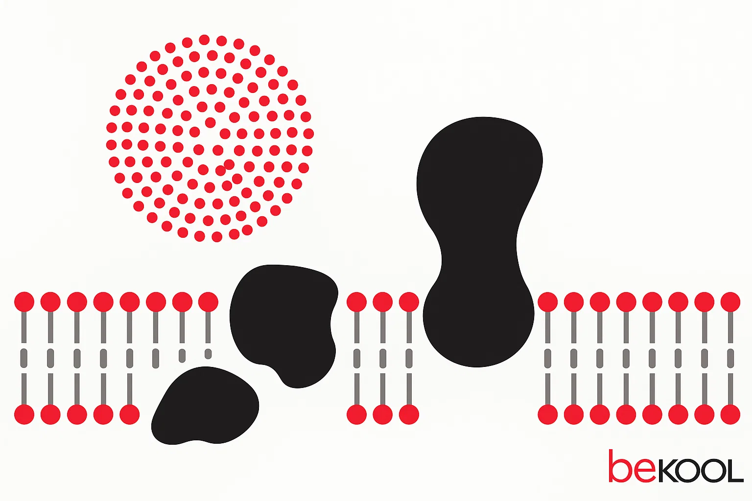 Λιποπρωτεΐνη α