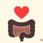 Φυτικές ίνες