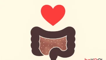 Φυτικές ίνες