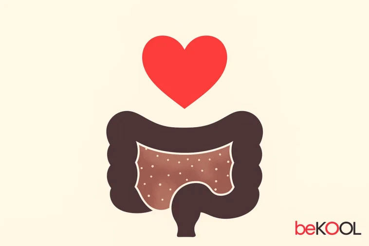 Φυτικές ίνες